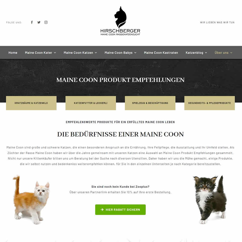 Maine Coon Produktempfehlungen