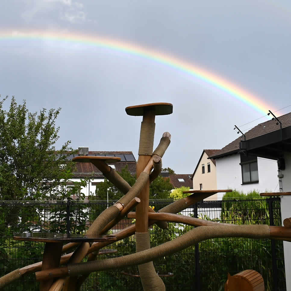 Regenbogenbrücke